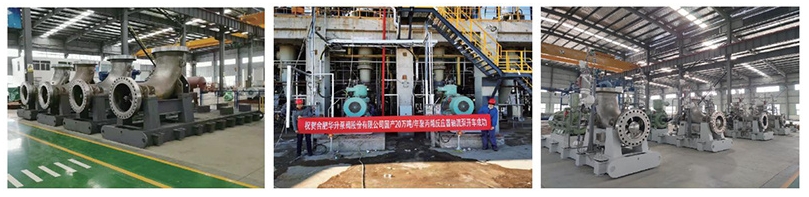 Loop reactor axial flow pump